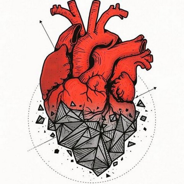 Настоящее сердце вектор