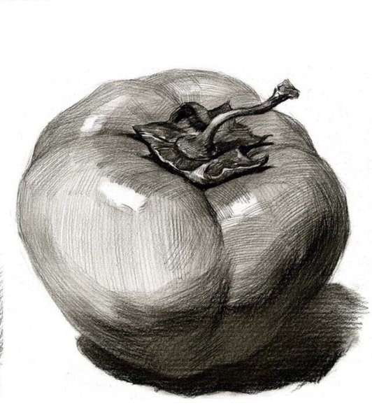Фрукты карандашом