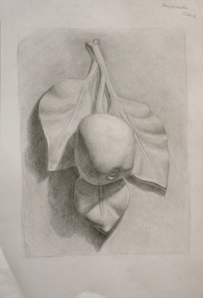 Гипсовая розетка яблоко