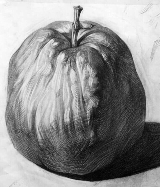 Натюрморт с овощами карандашом