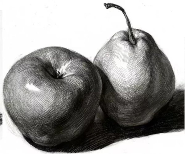 Натюрморт с фруктами карандашом