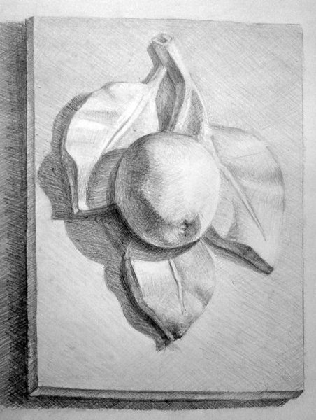 Гипсовая розетка яблоко