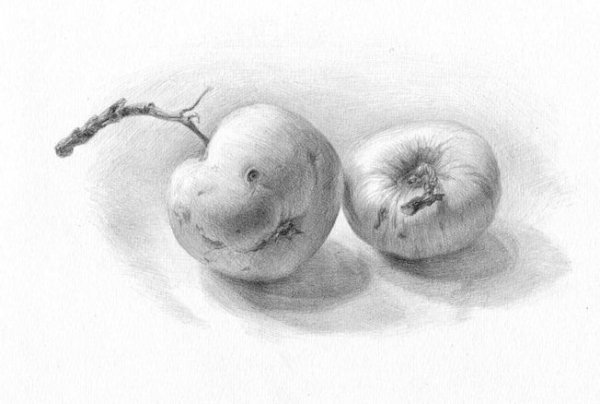 Тональная зарисовка фруктов и овощей