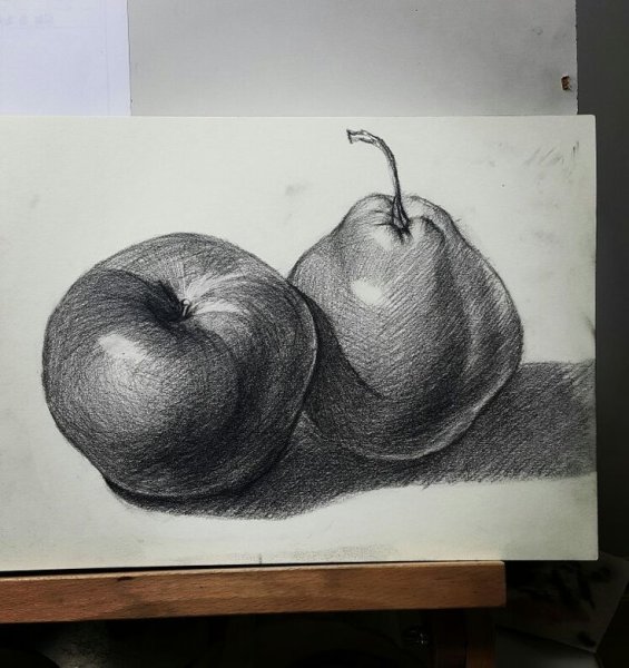 Наброски фруктов карандашом