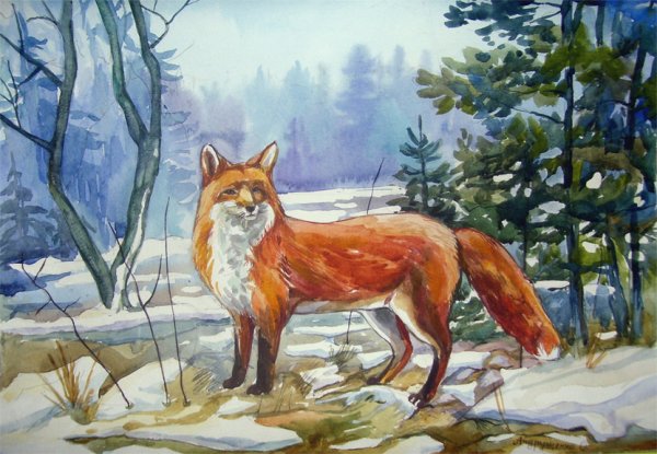 Виктор Бастрыкин художник-анималист