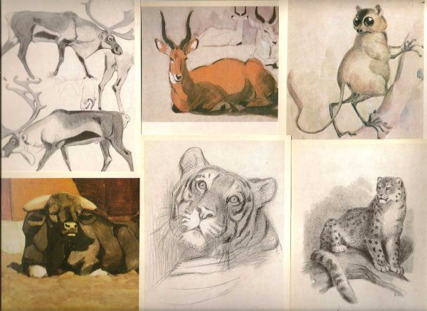 Василий Ватагин анималист