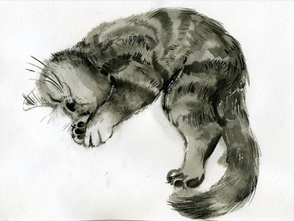 Анималистическая Графика