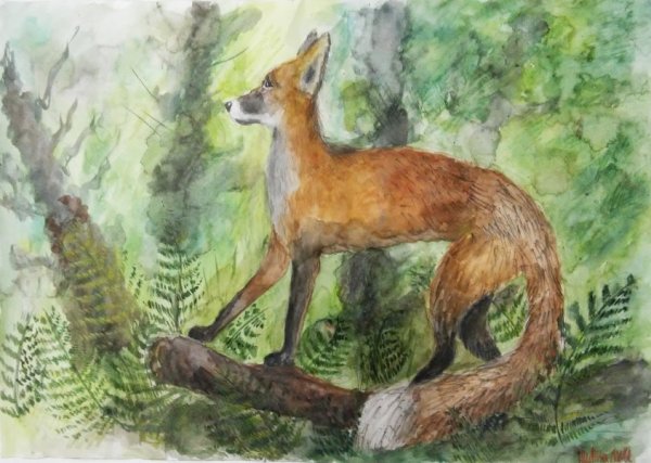 Анималистический Жанр