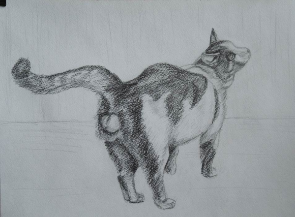 Агммелистичуеский Жанр карандаш