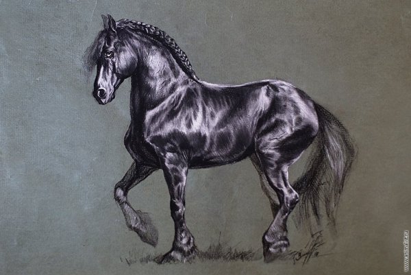 Анималистический Жанр