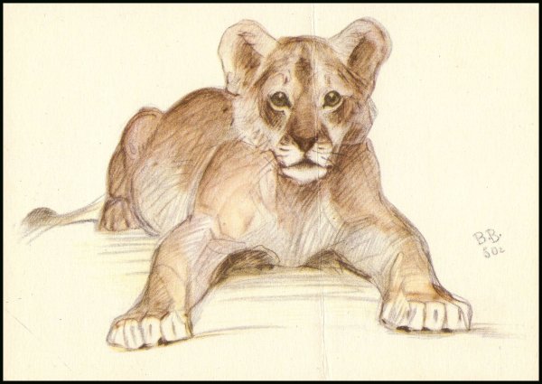 Ватагин Василий Алексеевич картины