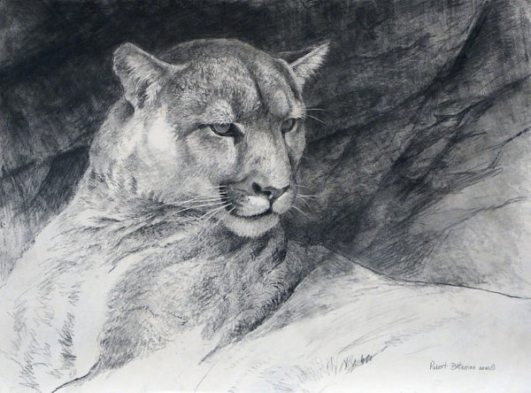 Анималистический Жанр Графика