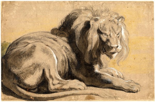 Пауль Рубенс зарисовки животных