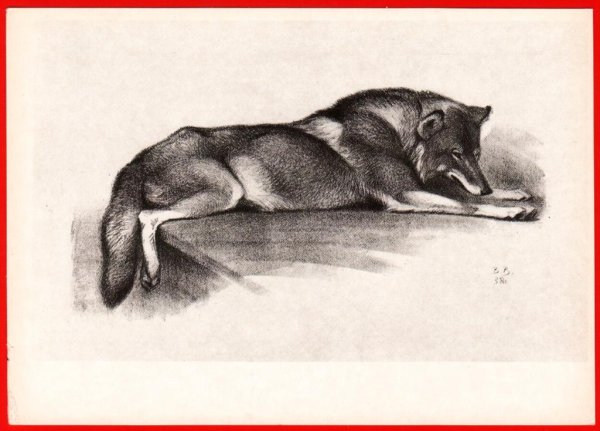 Ватагин лисица