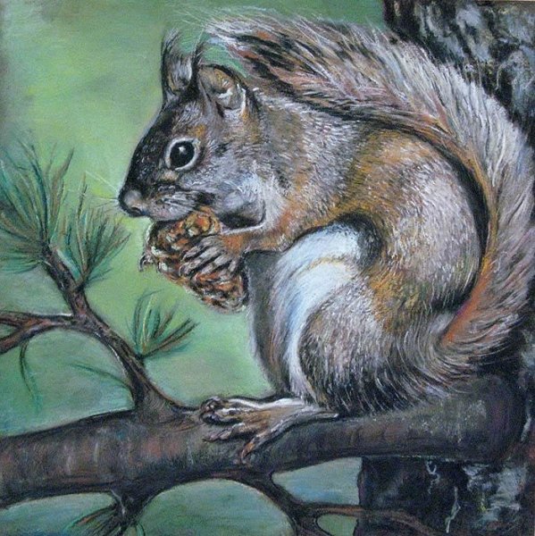 Белка художники анималисты