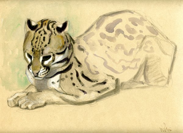 Василий Ватагин анималист