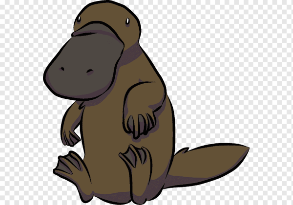 Дети утконоса