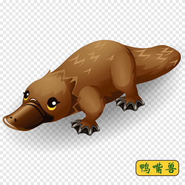 Утконос на прозрачном фоне