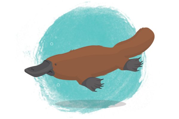 Дети утконоса