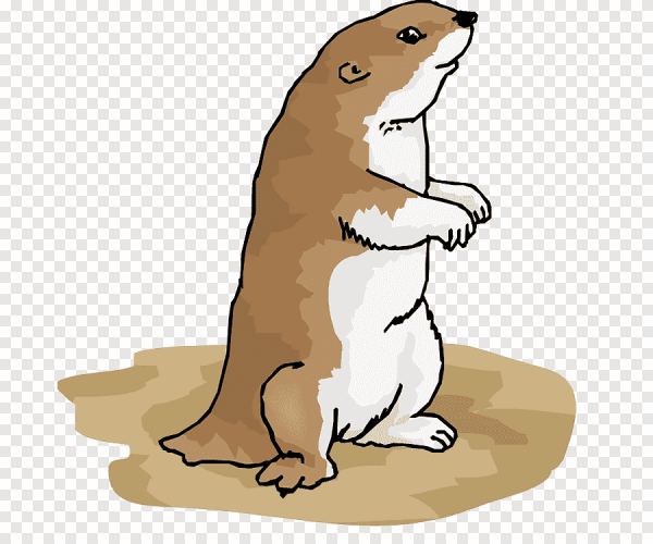 Сурок мультяшный