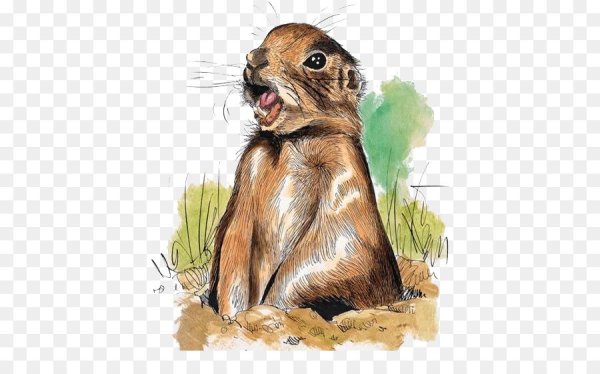 Суслик иллюстрация