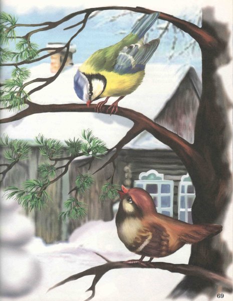 Рисование кормушка для птиц старшая группа