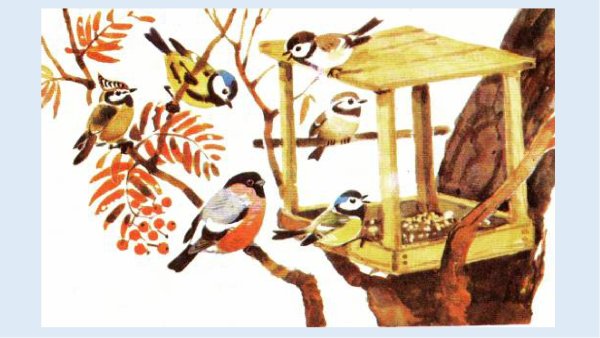 Anchor apc942 кормушка (Bird Table)