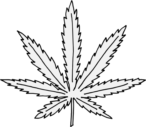 Лист конопли рисунок