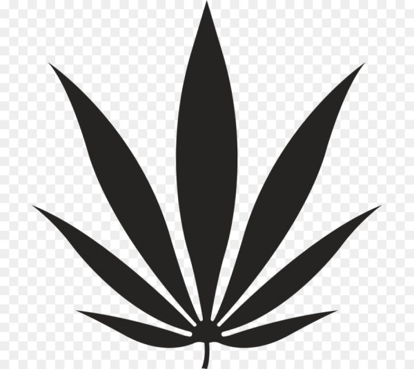 Морти каннабис