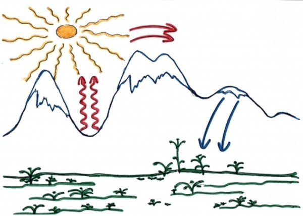 Схемовазникнавения Вера