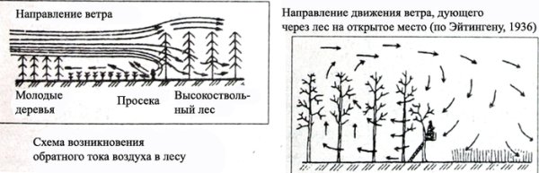 Схема возникновения ветра 3 класс окружающий