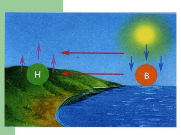Ночной Бриз