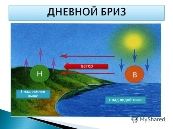 Дневной и ночной Бриз география 6 класс