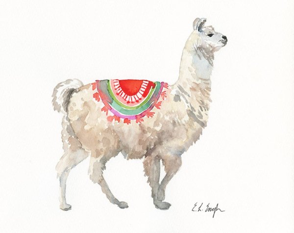 Альпака иллюстрация акварель