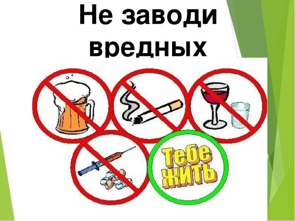 Не заводить вредных привычек