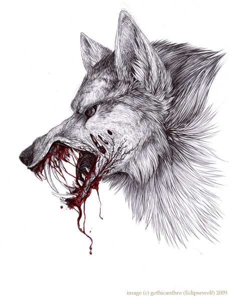 Окровавленная пасть волка