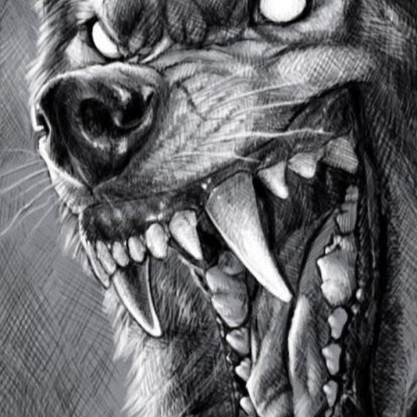 Оскал волка тату эскизы