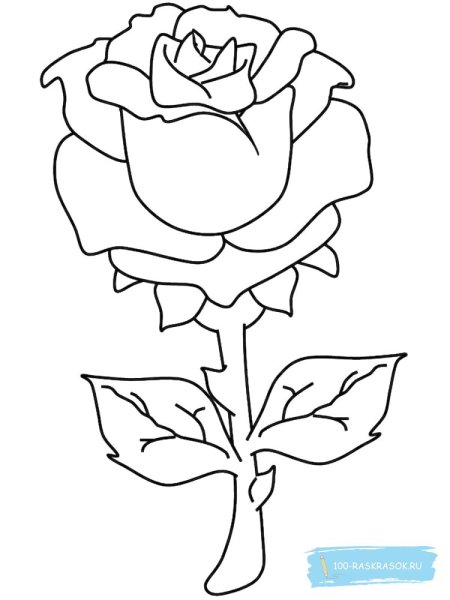 Роза для выжигания