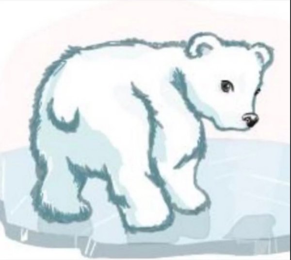 Белый медведь на льдине рисунок