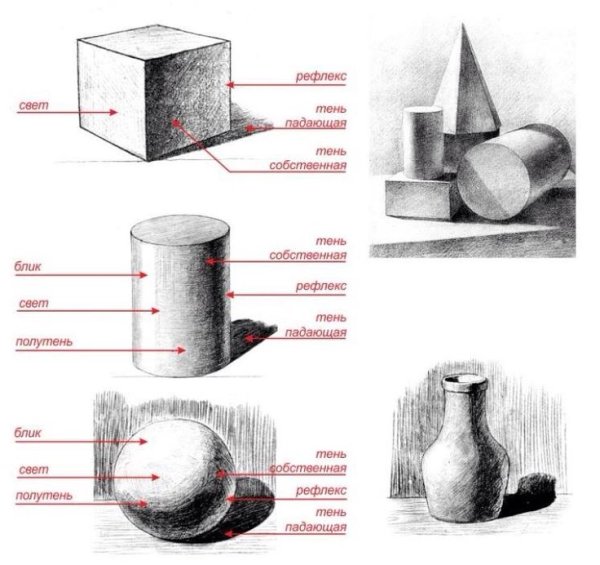 Правила светотени в рисунке