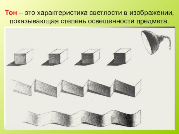 Основы светотени в рисунке