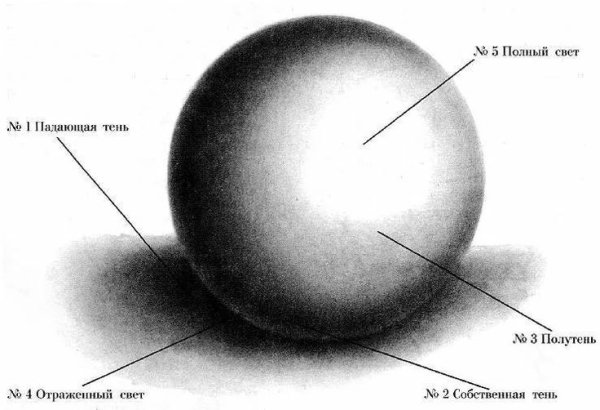 Светотень в рисовании