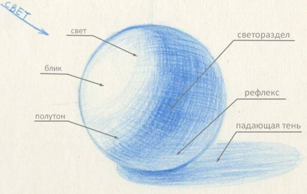 Шар тон полутон рефлекс
