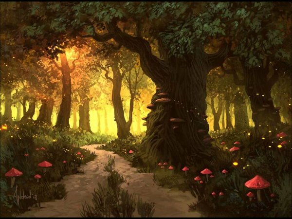 Сказочный лес