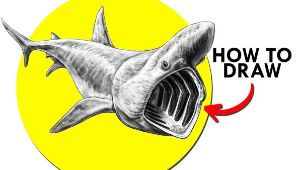 Гигантская акула Левиафан