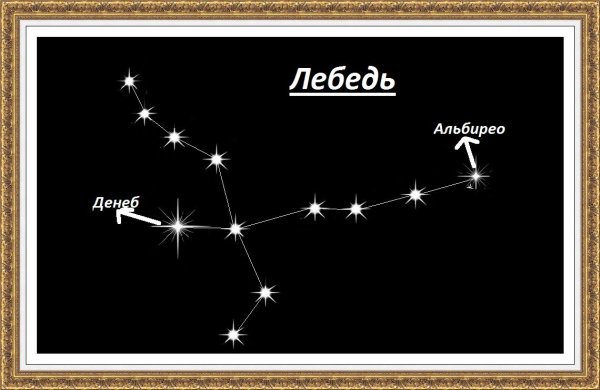 Созвездие лебедь самая яркая звезда