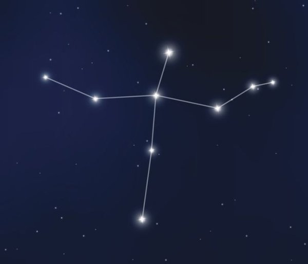 Cygnus Созвездие