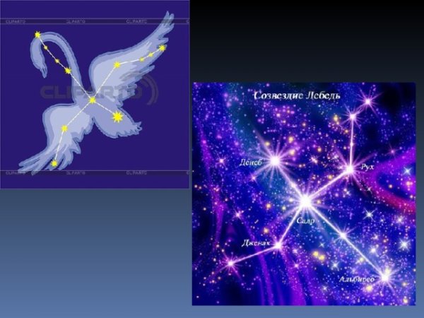 Созвездие лебедь для детей