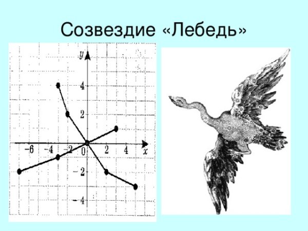 Модель созвездия лебедь