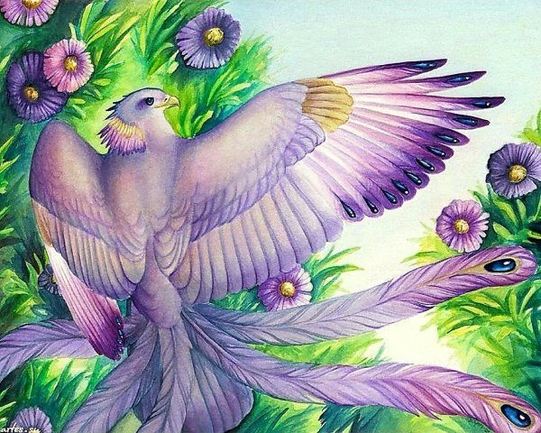 Волшебная Сказочная птица
